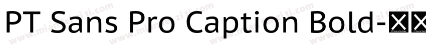 PT Sans Pro Caption Bold字体转换